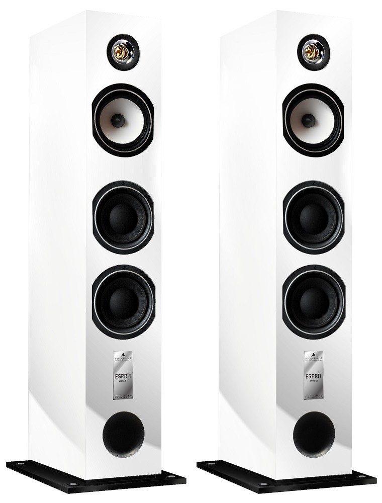 Triangle Esprit EZ Antal floor stand speakers